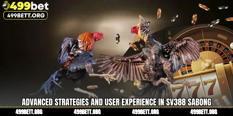 Advanced Strategies and User Experience in SV388 Sabong