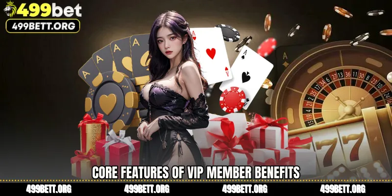 Core Features of VIP member benefits