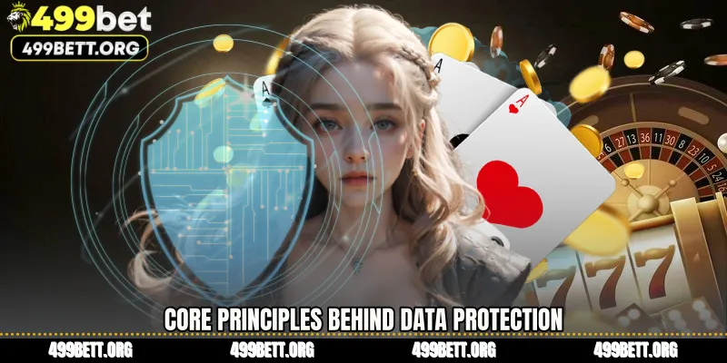 Core Principles Behind Data Protection