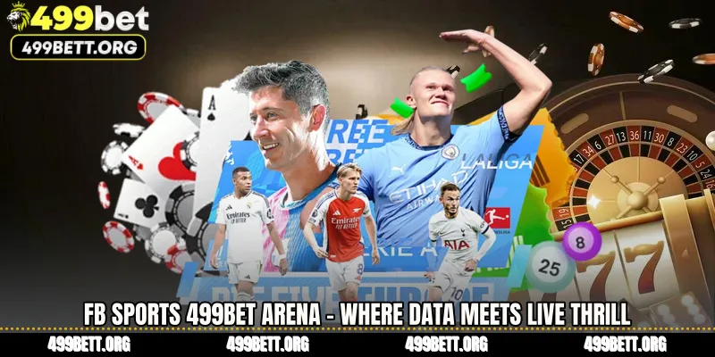 FB Sports 499BET Arena - Where Data Meets Live Thrill