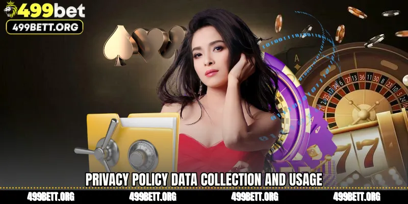 Privacy Policy Data Collection and Usage