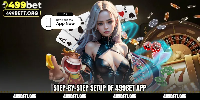 Step-by-Step Setup of 499BET App