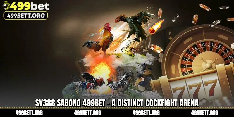 SV388 Sabong 499BET - A Distinct Cockfight Arena
