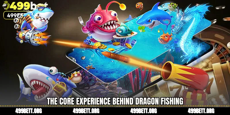 The Core Experience Behind Dragon Fishing